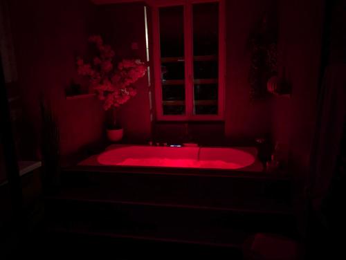 Le SPA - Villa Valmy - Hypercentre - Gare SNCF, Montluçon (fotografie 3)