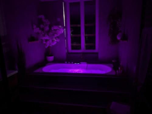 Le SPA - Villa Valmy - Hypercentre - Gare SNCF, Montluçon (fotografie 8)