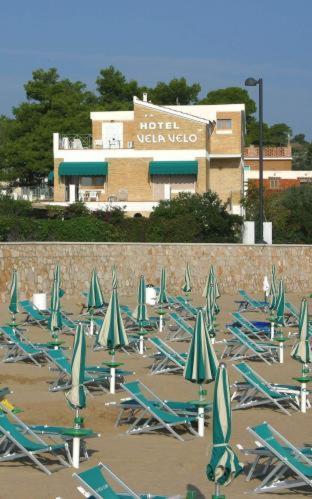 Hotel Vela Velo Club Vieste in Vieste