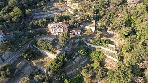 Villa Pierina - image 10