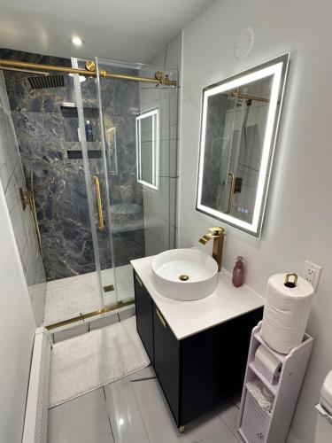 Luxurious, newly renovated retreat in Union (NJ)