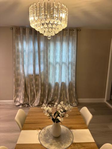 Luxurious, newly renovated retreat in Union (NJ)