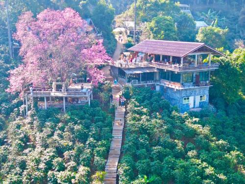 Ma Family Coffee Farm - 주변 환경