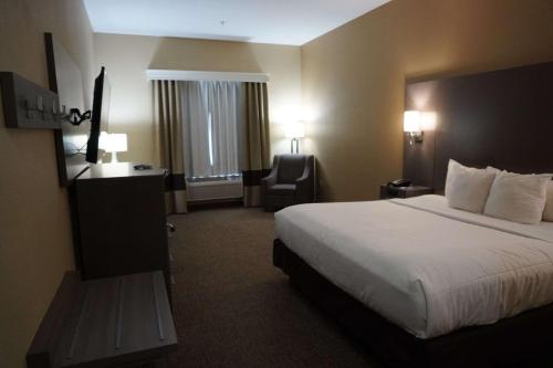 Comfort Inn & Suites - image 4