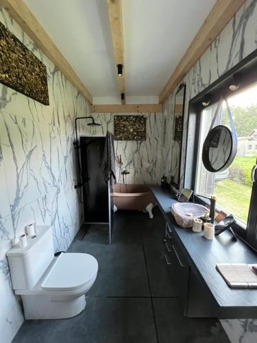 Villa Sudrabiņi (Villa Sudrabini) in Pavilosta