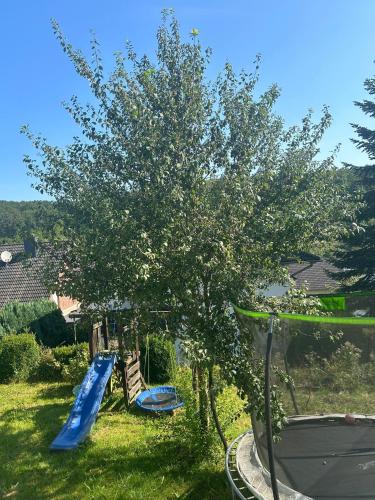 周邊環境, Ferienwohnung Lindenberg in 弗羅伊登貝格