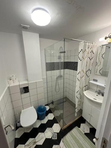 Ave Hotel Victoriei 4