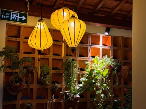 Thuy Homestay Hoi An
