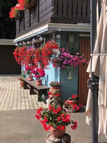 Haus-erzberg in 禾丹堡