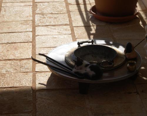Casa Surya – Ostuni, AR