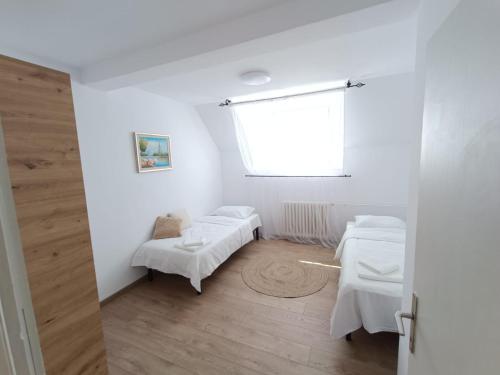 LuxD, Sajmište (fotografie 5)