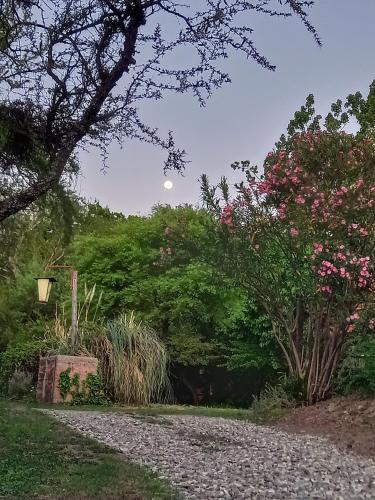 La Laguna - Cabañas de Troncos