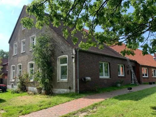Hund in Norden, Deutschland
