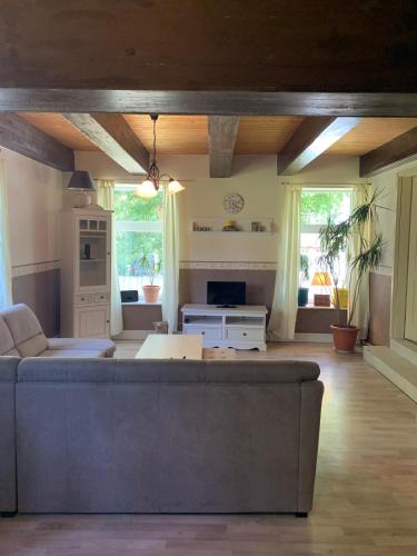 Einrichtungen, Hund in Norden