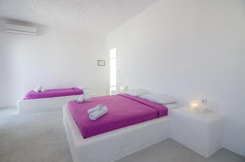 2 queen beds, 1 twin bed