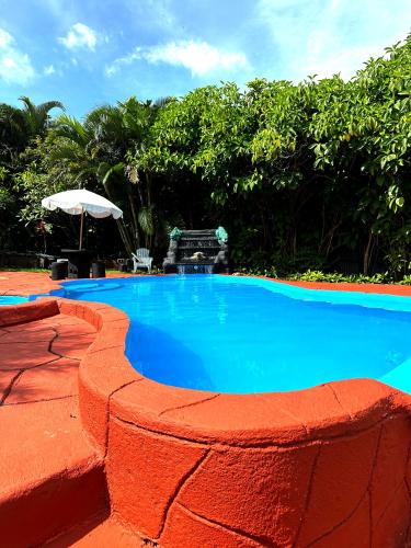 Jardin, Hotel Vista Linda Montana in Alajuela