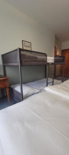 Hotel Montana Zürich, Zúrich (foto 10)