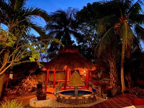 สภาพแวดล้อมโดยรอบ, Casamaya Hostel & Diving in โคซูเมล