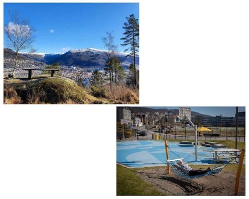 Apartment with Loft & Window Balcony, Free parking Apartment with Loft & Window Balcony, Free parking