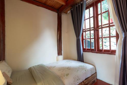 Single Room with Garden View image 10