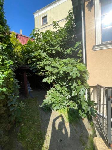 博纳卡扎酒店 博纳卡扎酒店