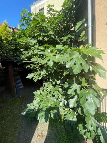 博纳卡扎酒店 博纳卡扎酒店