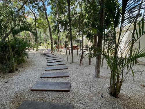 Botánics by Endémico Los Laureles in Tulum, Mexico