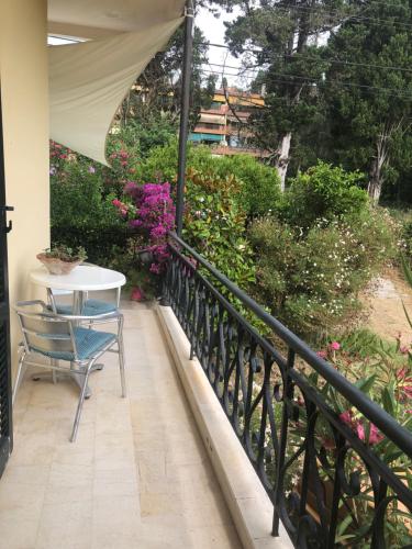 MeadowView Spacious renovated ground floor studio in Corfu Island