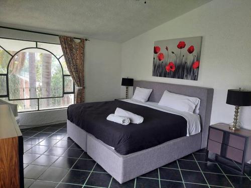 Casa con alberca in Lomas de Santa Anita