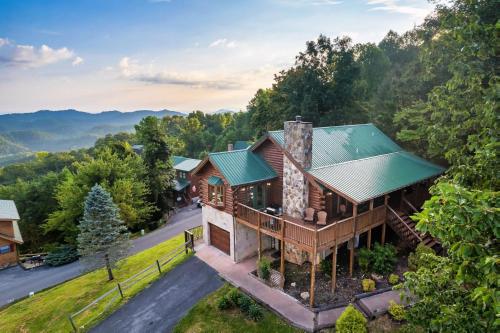 Black Bear in Sevierville, USA