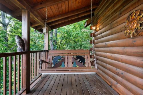 Black Bear in Sevierville, USA