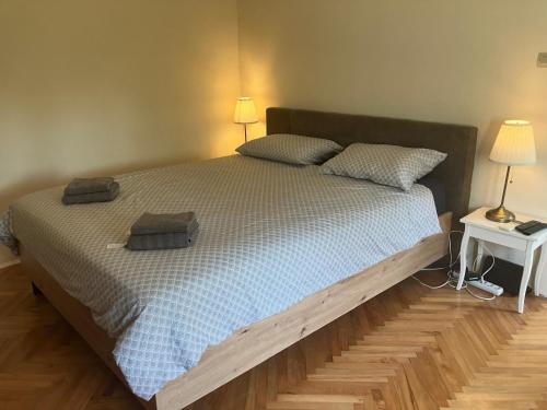 Usce Belgrade house & private parking