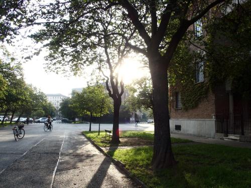 ISOLA Rooms - Isola pedonale Crocetta Politecnico, Turin (photo 5)