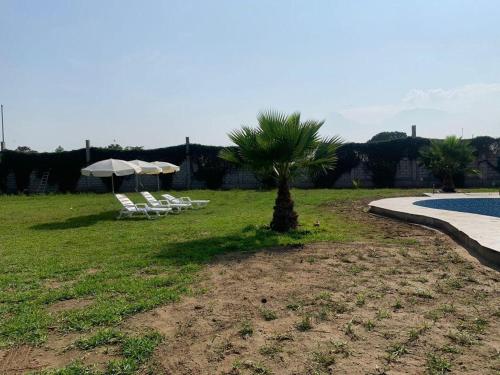 Fundo GHANDY ALLIZON in Moche