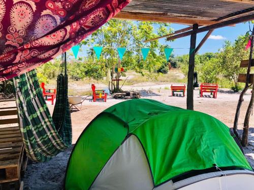 . Land of Promise - Reggae Camping