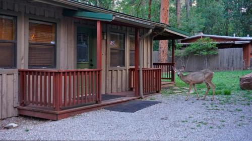 A Stone`s Thoreau A Stone`s Thoreau