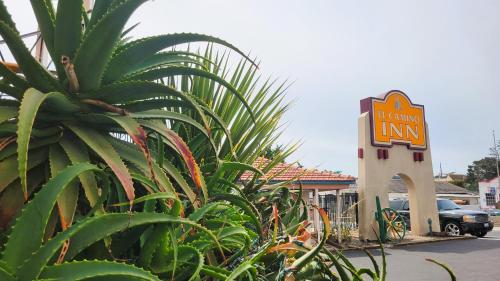 El Camino Inn - image 11
