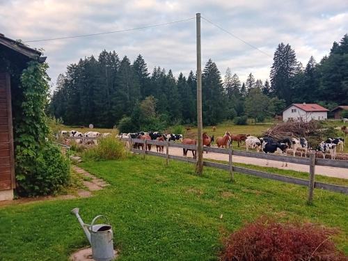 A környék, Chez Karine in Le Noirmont