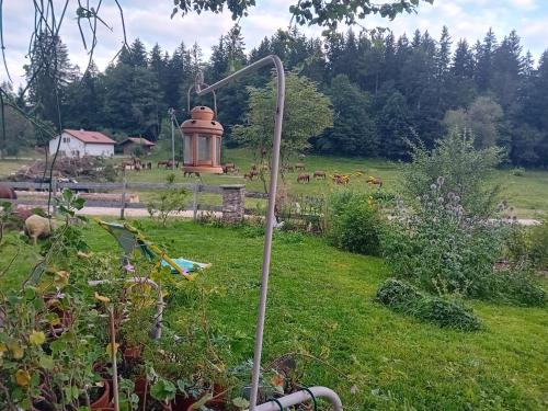 A környék, Chez Karine in Le Noirmont