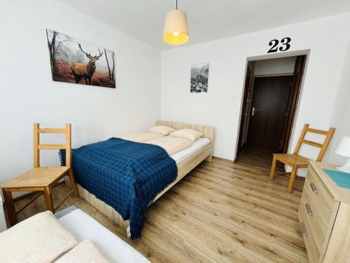 1 double bed, 1 sofa bed