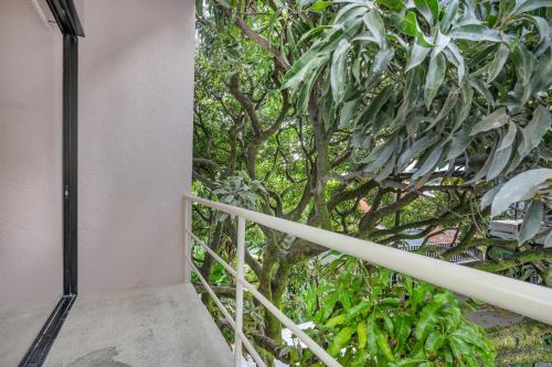 Botánica Hotel Manila by HOUSY, Medellín (photo 8)