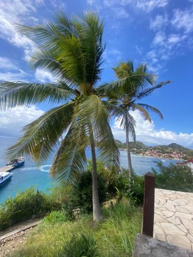 View, La Sucriere in Terre-de-Haut