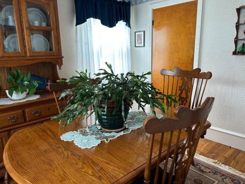 Peaceful Getaway by Buttonwood Park full amenities Peaceful Getaway by Buttonwood Park full amenities