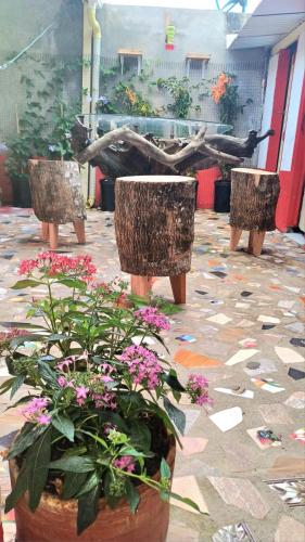 Facilities, Hostal El Chili in Pijao