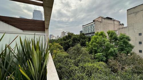 乔治套房 乔治套房