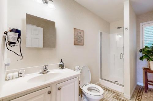 Bird Street Breeze Bird Street Breeze