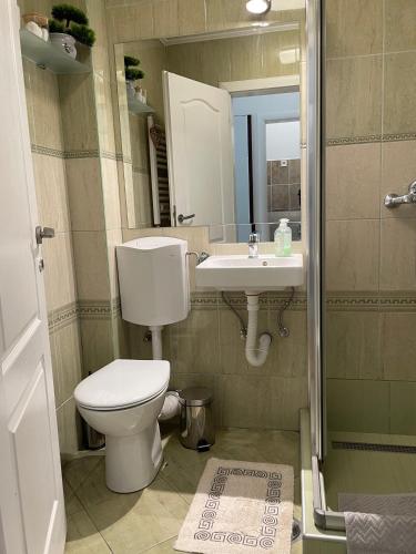 One-Bedroom Apartment image 8