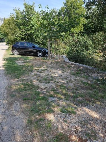 Apartments with a parking space Seline Paklenica - 17390 - main image