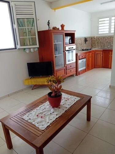 Le Latanier bleuté (Le Latanier bleute) in Le Francois