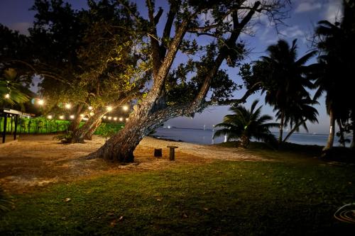 周辺案内, VILLA VAIROARII - Garden & private beach in ファレハウ